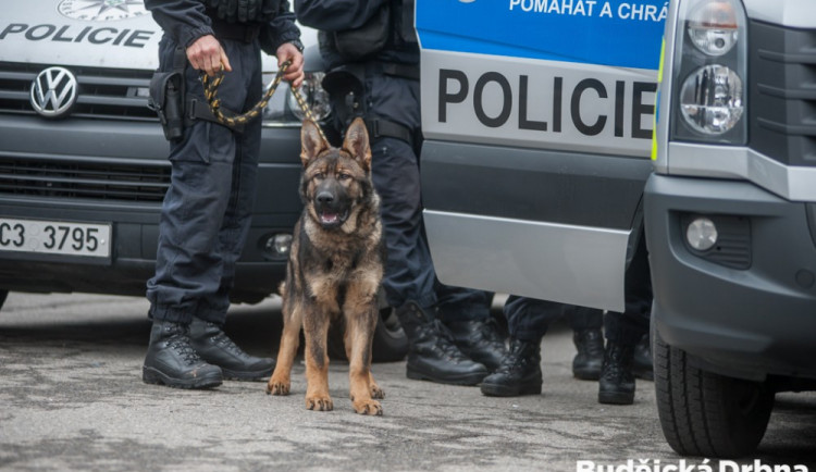 Ilustrační snímek