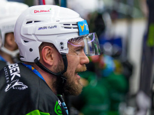 Tygři porazili Karlovy Vary.