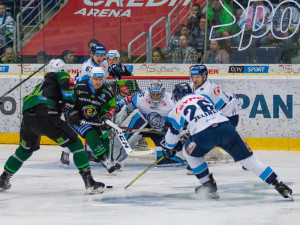 Tygři porazili Karlovy Vary.