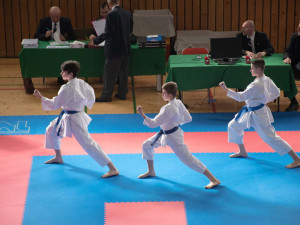 Z krajského přeboru v Ústí veze Gryf 19 medailí