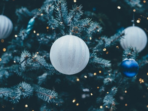 V Novém Městě pod Smrkem přijdou o svůj vánoční strom