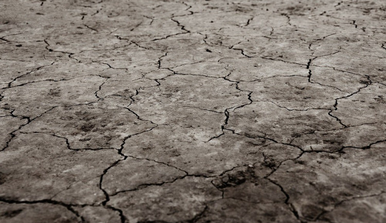 Ilustrační snímek