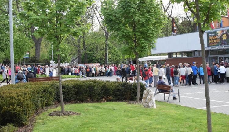 Konec veteše na Floře Olomouc. Město reaguje na kritiku úrovně květinové výstavy