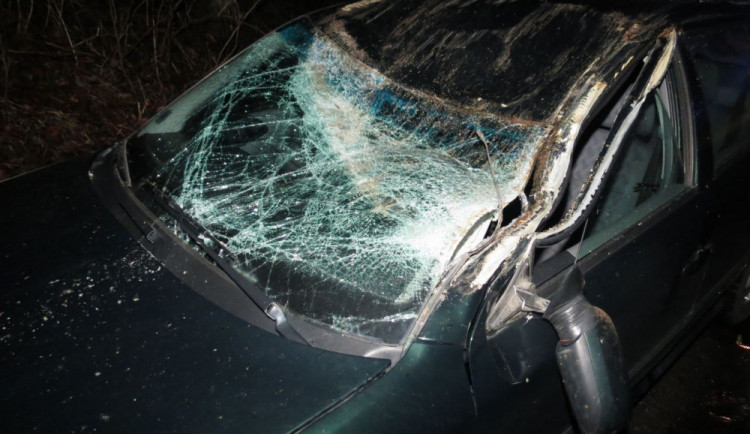 Strom spadl na projíždějící auto. Poškodil střechu a rozbil přední sklo