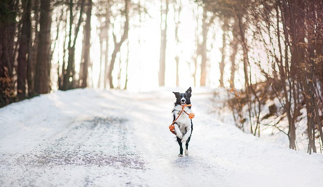 Ilustrační snímek