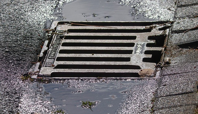 Ilustrační snímek,