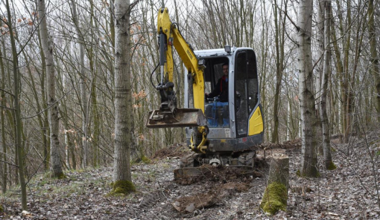 Aktuálně na místě bývalého hliniště vznikají nové stezky.