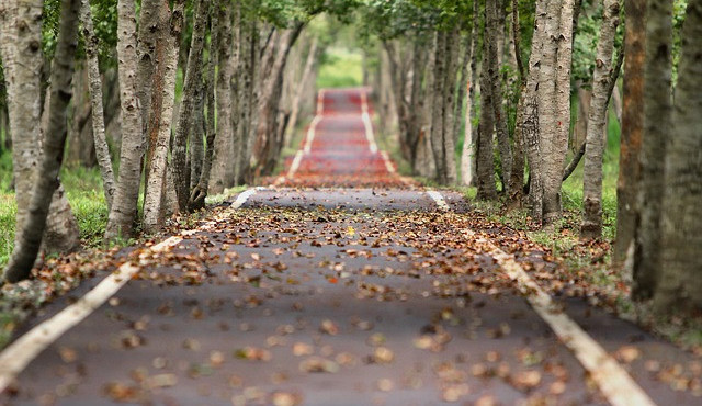 Ilustrační snímek