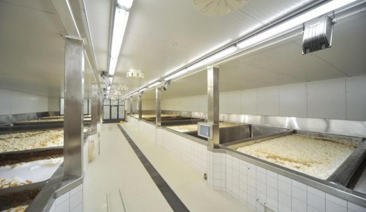 Pivovar ve Svijanech