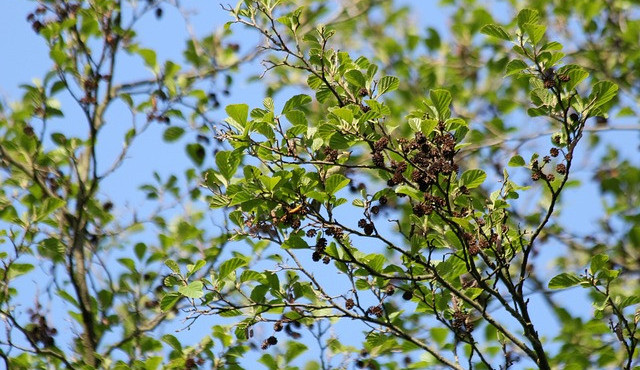 Ilustrační snímek