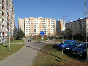 Konec Roundupu. Liberec nebude chemicky čistit chodníky od prorůstající trávy