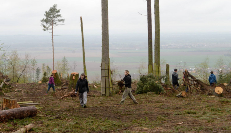 FOTO: Dobrovolníci se pustili do úklidu škod po vichřici v olomoucké zoo