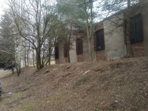 Sídliště na Broumovské a Gagarince prokoukla, došlo na kácení i prořezávání.