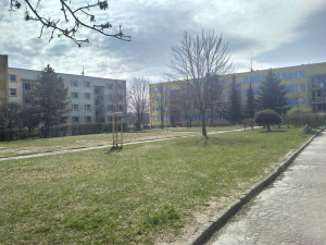 Sídliště na Broumovské a Gagarince prokoukla, došlo na kácení i prořezávání.