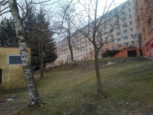 Sídliště na Broumovské a Gagarince prokoukla, došlo na kácení i prořezávání.