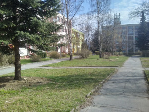 Sídliště na Broumovské a Gagarince prokoukla, došlo na kácení i prořezávání.