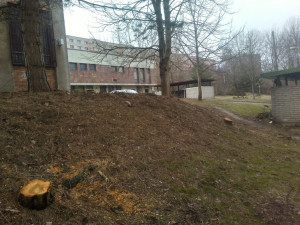 Sídliště na Broumovské a Gagarince prokoukla, došlo na kácení i prořezávání.