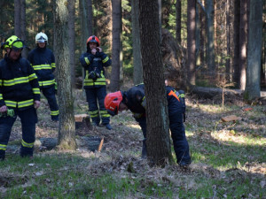 Hasiči si v rámci přeshraničního workshopu vyzkoušeli práci s motorovkou.