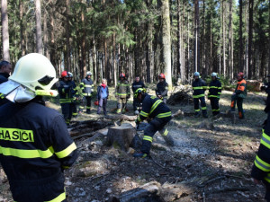 Hasiči si v rámci přeshraničního workshopu vyzkoušeli práci s motorovkou.