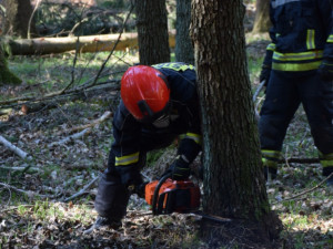 Hasiči si v rámci přeshraničního workshopu vyzkoušeli práci s motorovkou.
