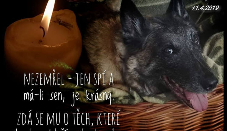 Cash odešel ve věku požehnaných 14 let.