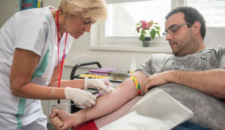 V rámci Academia Film Olomouc 2019 proběhne nábor do registru dárců kostní dřeně