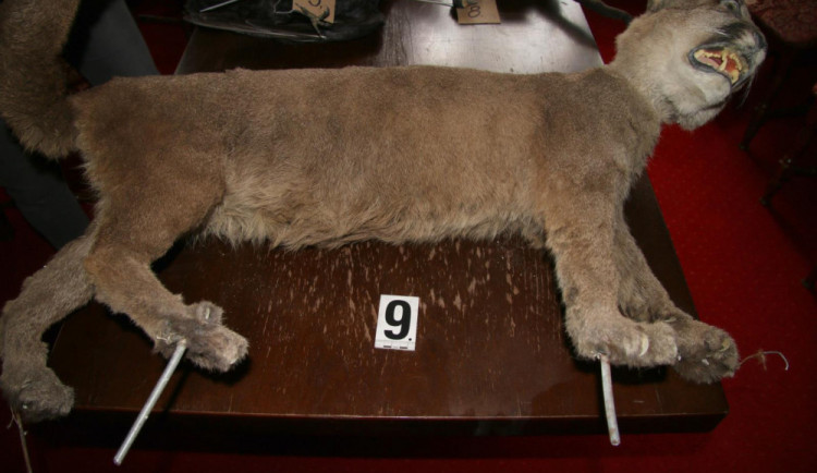 Jeden ze zadržených preparátů.