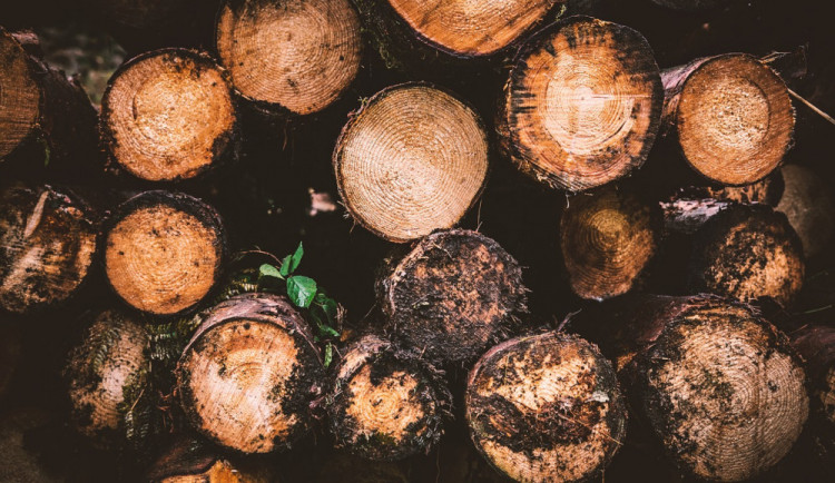 Ilustrační snímek