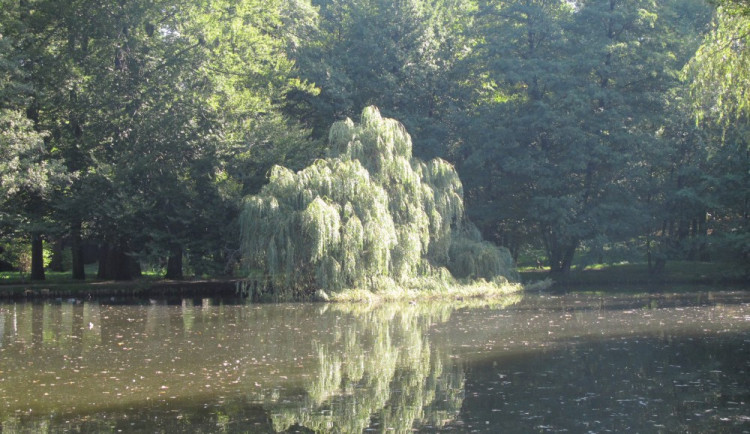 Frýdlantský zámecký park