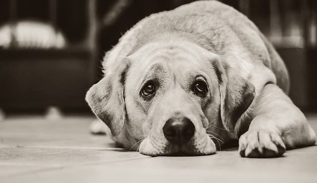 Ilustrační snímek