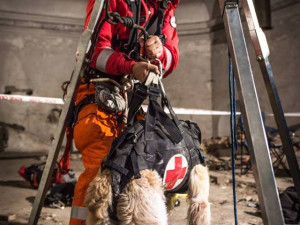 Pavel Málek a jeho parťák retrívr Charlie