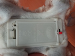 Tito pejsci jsou podle ČOI pro malé děti nebezpečné.