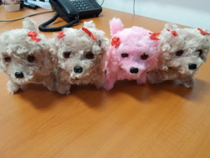 Tito pejsci jsou podle ČOI pro malé děti nebezpečné.