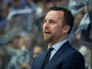 Tygři druhé finále zvládli