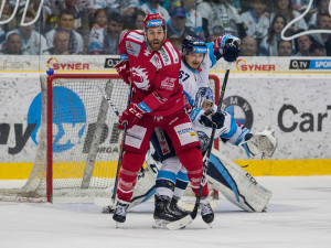 Tygři druhé finále zvládli