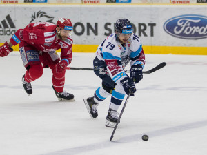 Tygři druhé finále zvládli