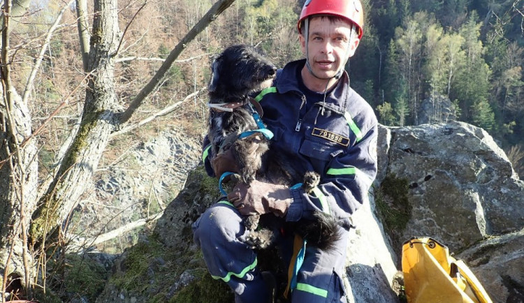 Hasiči zachraňují nejen lidské životy, ale i ty zvířecí.