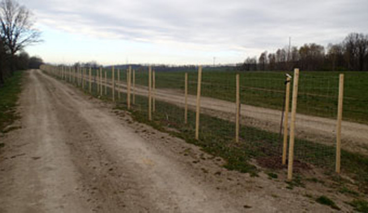 Nová alej v Chrastavě