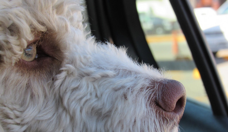 Ilustrační snímek