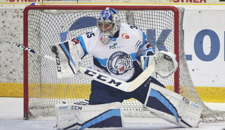 Roman Will už nebude Bílým Tygrem