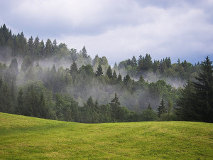 Chladnější počasí potrvá do středy, pak se začne pomalu oteplovat