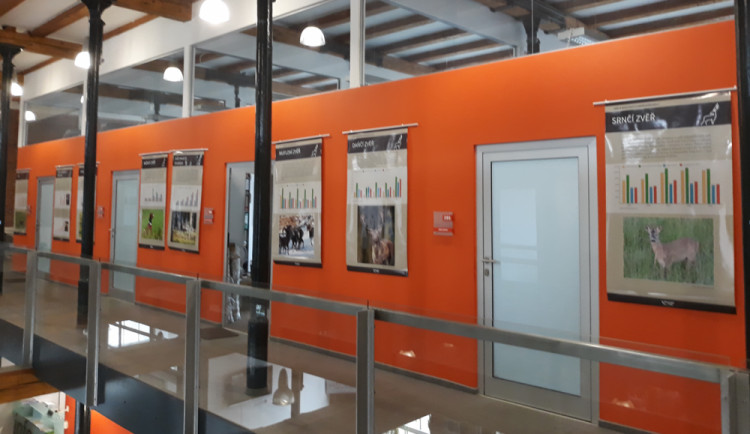 Nová výstava v Semilech