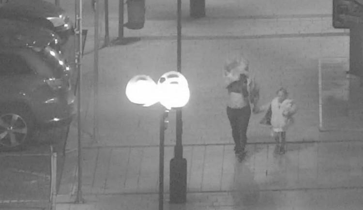 Žena nadýchala přes dvě a půl promile. Ji i její dítě museli domů odvézt strážníci