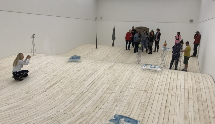 FOTO: Projděte se po exponátu. Galerie představila výstavu s dřevěnou vodní hladinou