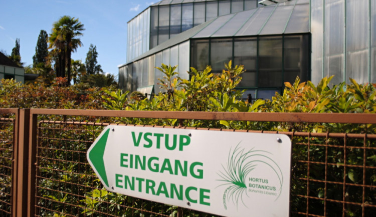 Zamiřte do Botanické, začala zde úplně nová výstava o rostlinách Jizerských hor