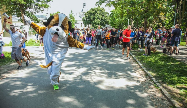Akce Běhejme a pomáhejme útulkům zamíří do Jablonce.