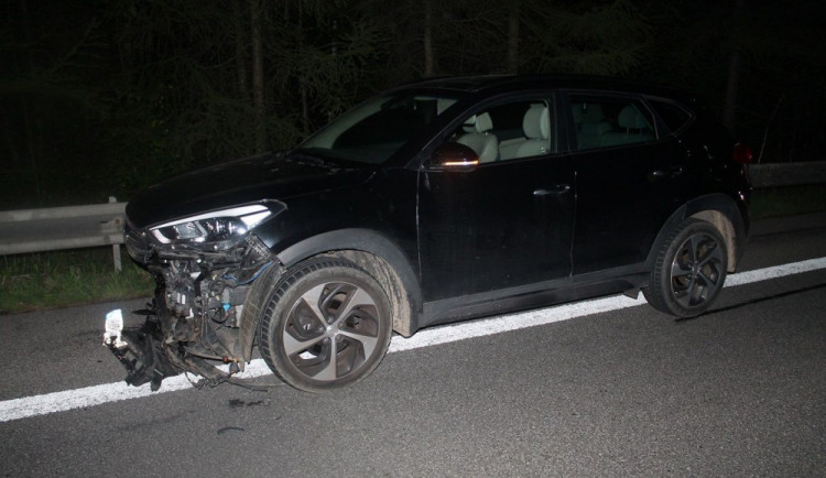 Auto po srážce s divočáky.