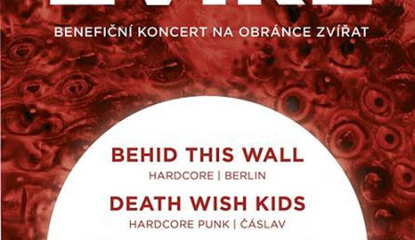 Přijď na koncert a zachraň zvíře. V Liberci se bude hrát pro Obraz – obránce zvířat