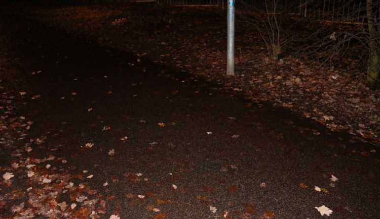 Brutální útok na mladou ženu. Násilník ji nad ránem přepadl na stezce pro pěší