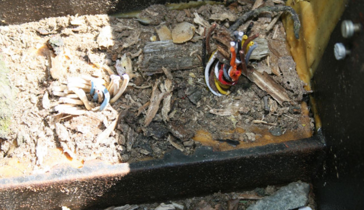 Poškozené traťového zabezpečení.